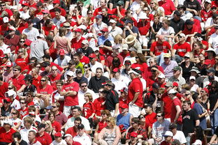 开云体育中国-马竞力克多特蒙德，凯恩补时绝平足总杯：激情足球夜的巅峰对决