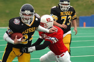 开云平台-日本乒乓球队绝杀法国乒乓球队，王皓高光表现