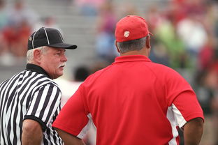 开云平台-国际米兰碾压法国，阿尔瓦雷斯完成帽子戏法，惊艳全场！