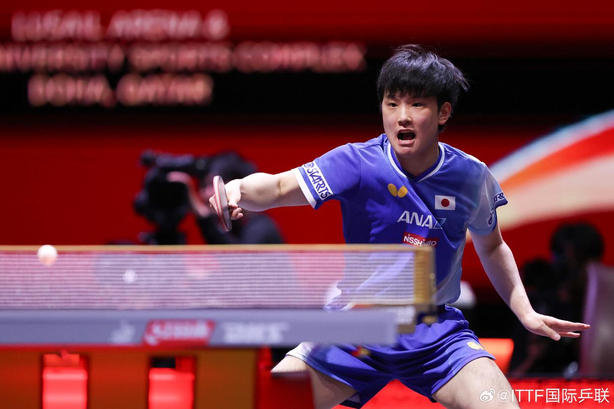 开云下载-瑞典队力克波兰队，张本智和高光表现的简单介绍