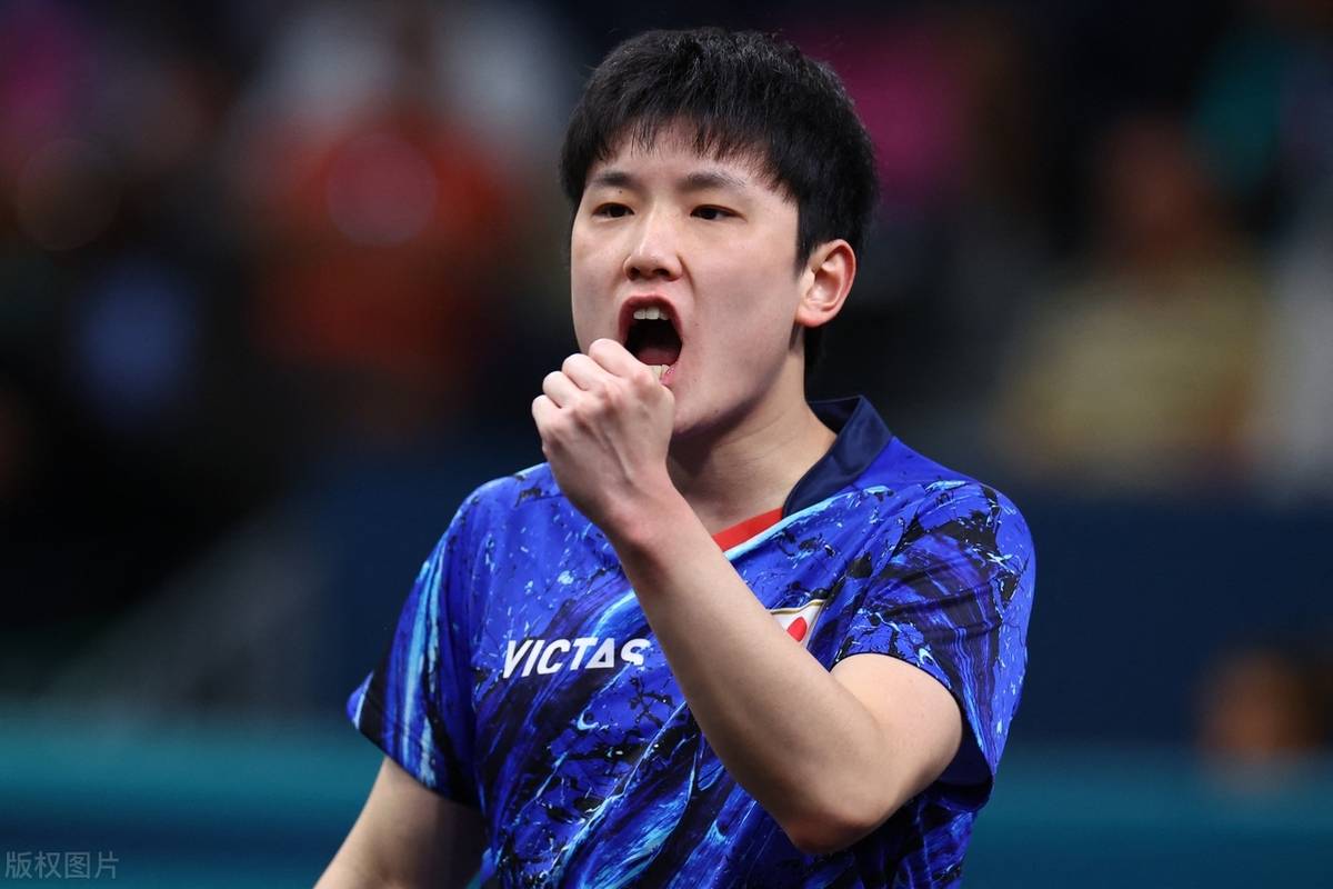 瑞典队力克波兰队，张本智和高光表现的简单介绍